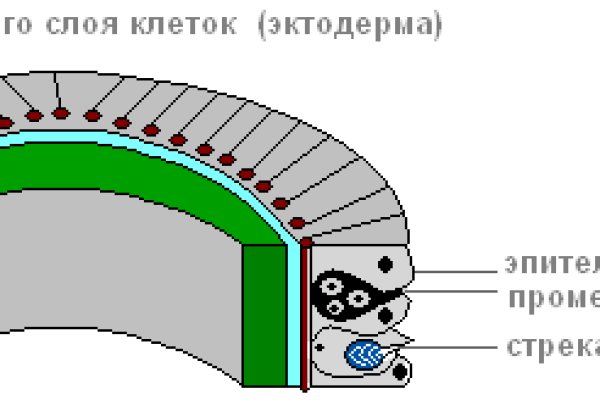 Омг даркмаркет